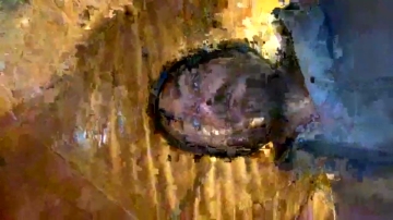 Dnnnkkk  26-11-2021 video yummy